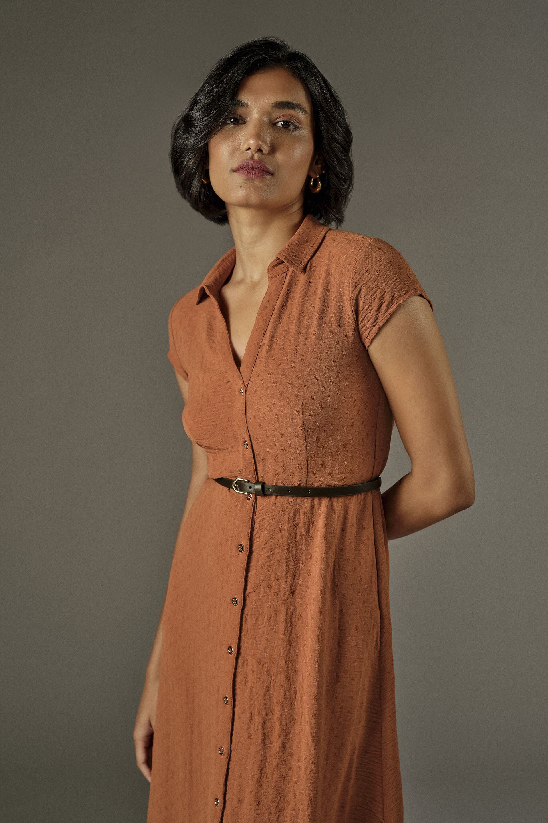 Fit & Flare Midi Dress in Rust, Rust, image 2